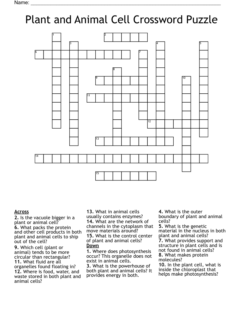 Plant and Animal Cell Crossword Puzzle