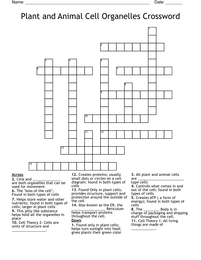 Plant and Animal Cell Organelles Crossword