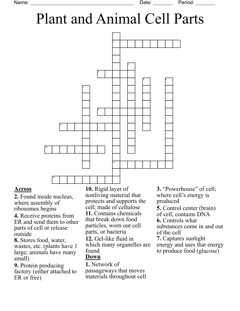 Plant and Animal Cell Parts Crossword