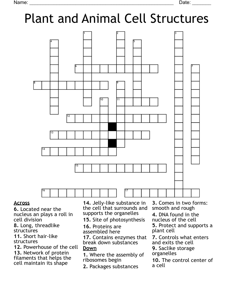 Plant and Animal Cell Structures Crossword