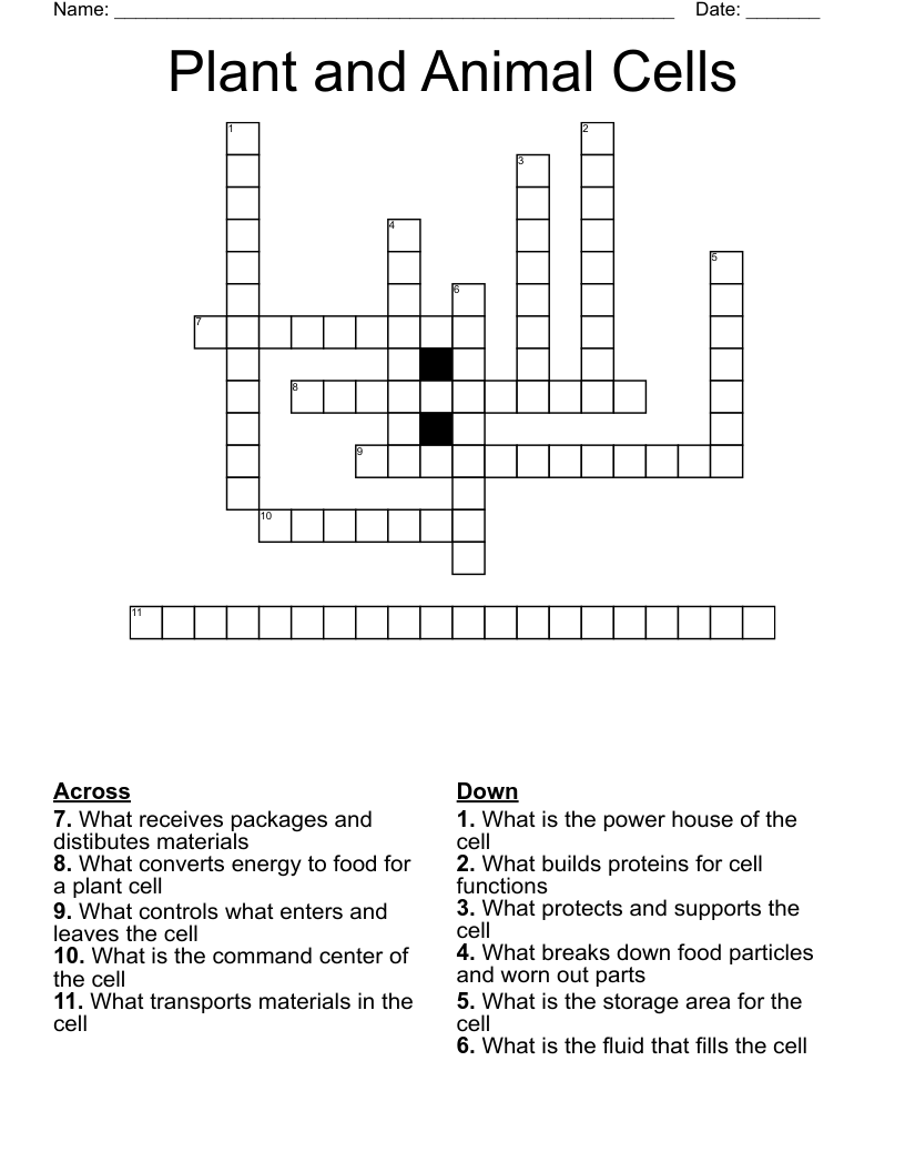 Plant and Animal Cells Crossword