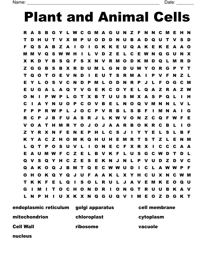 Plant and Animal Cells Word Search