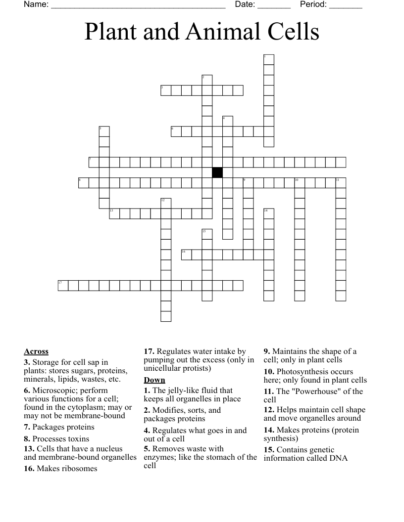 Plant and Animal Cells Crossword