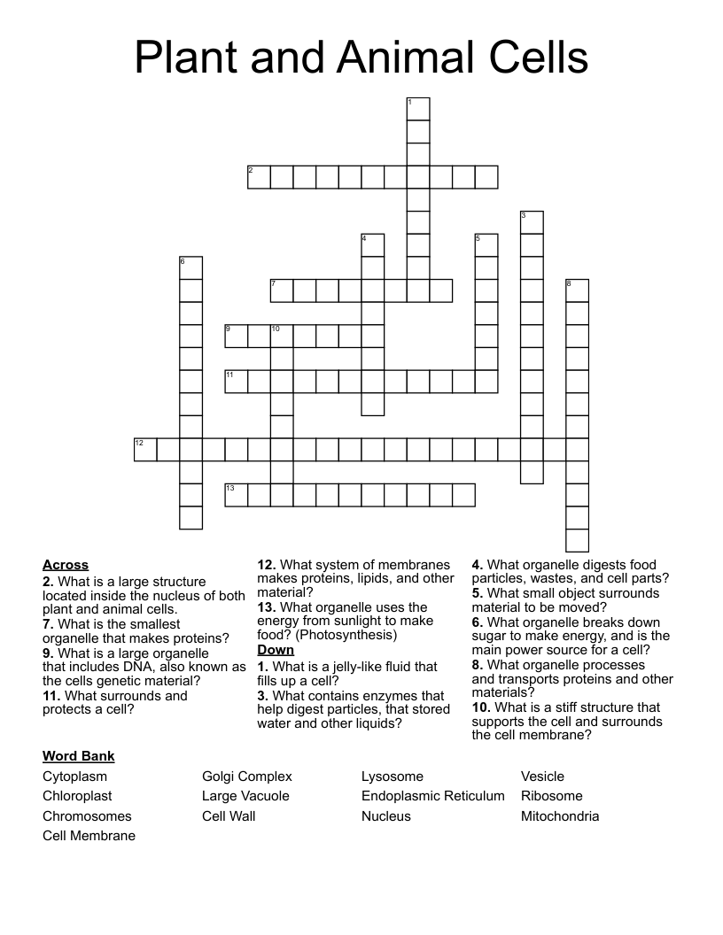 Plant and Animal Cells Crossword