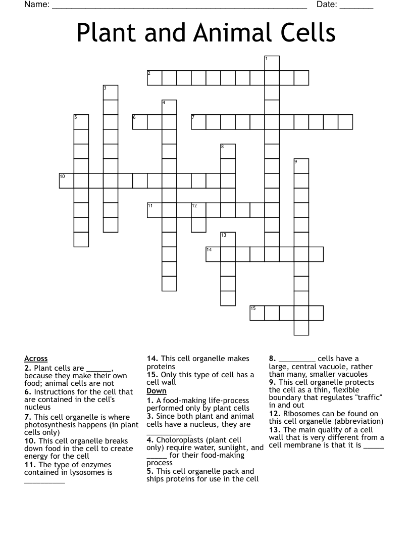 Plant and Animal Cells Crossword
