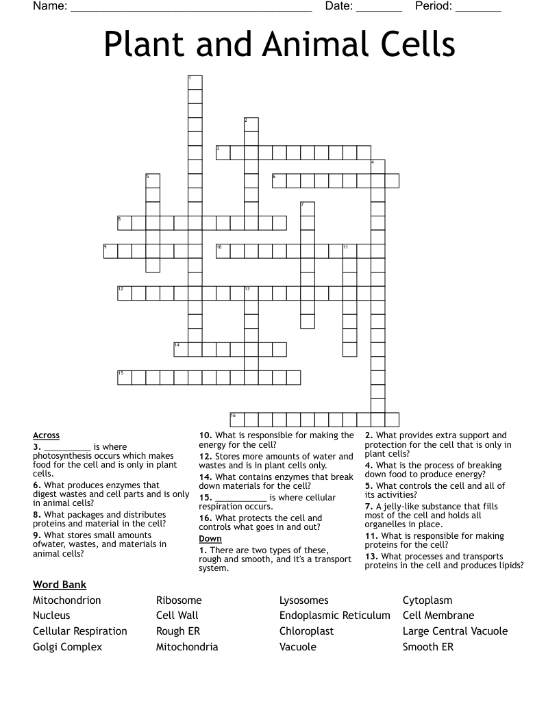 Plant and Animal Cells Crossword
