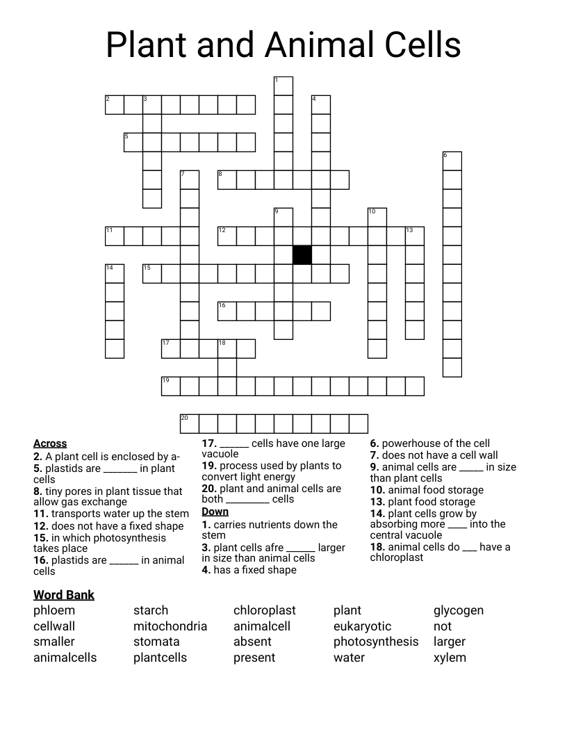 Plant and Animal Cells Crossword