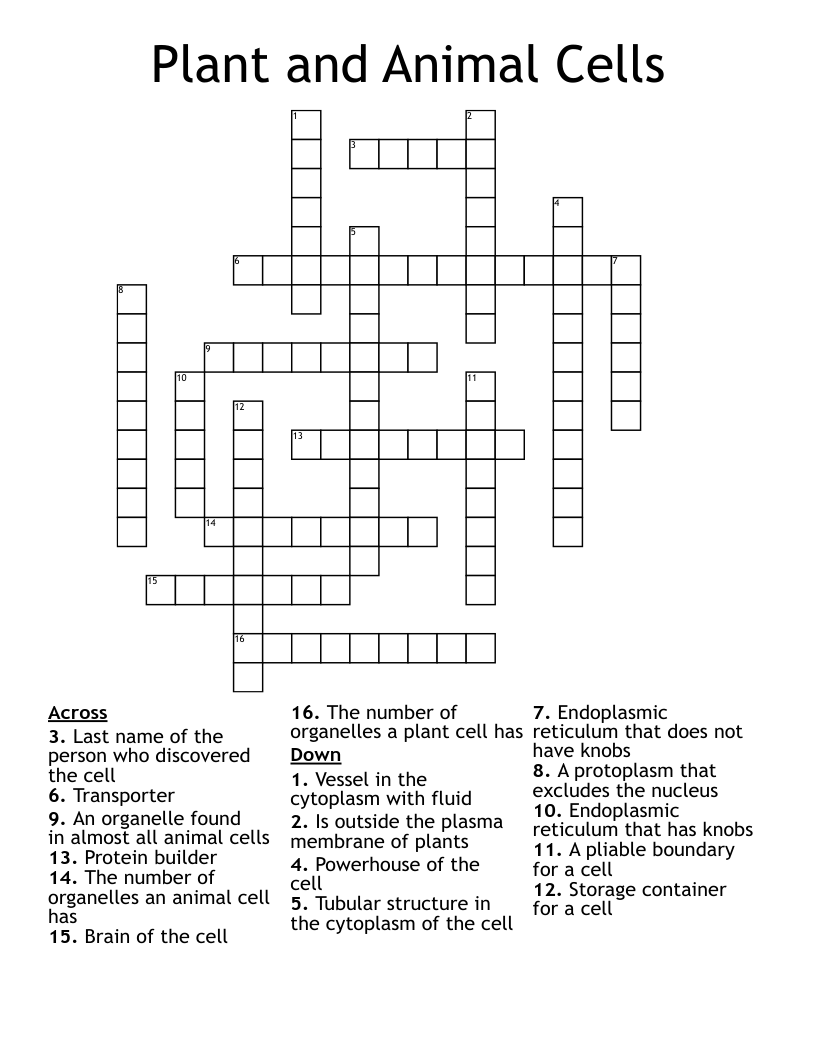 Plant and Animal Cells Crossword