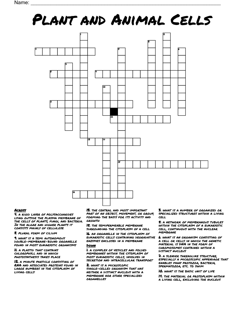 Plant and Animal Cells Crossword