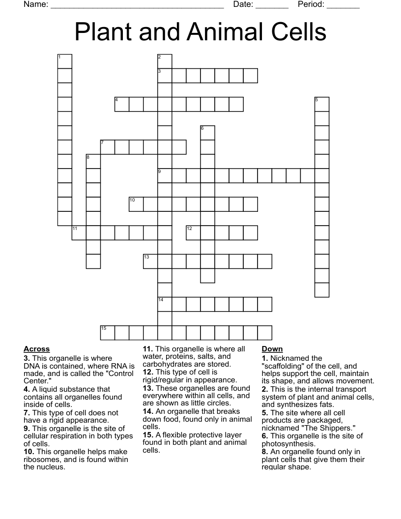 Plant and Animal Cells Crossword