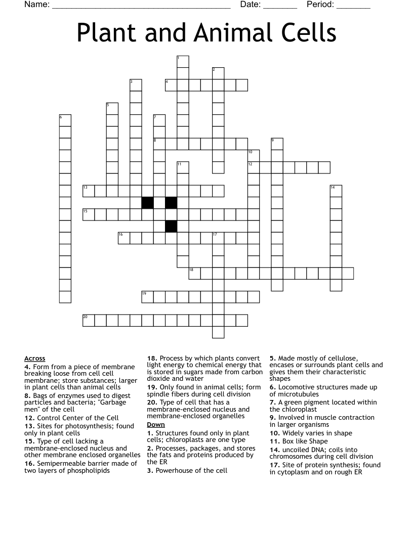 Plant and Animal Cells Crossword