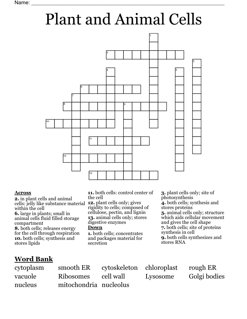 Plant and Animal Cells Crossword