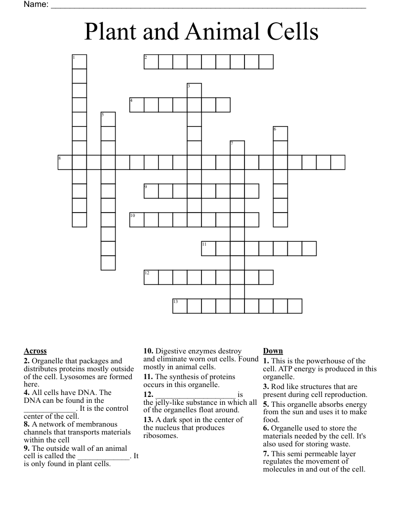 Plant and Animal Cells Crossword