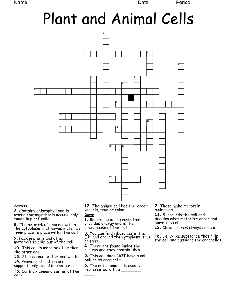 Plant and Animal Cells Crossword