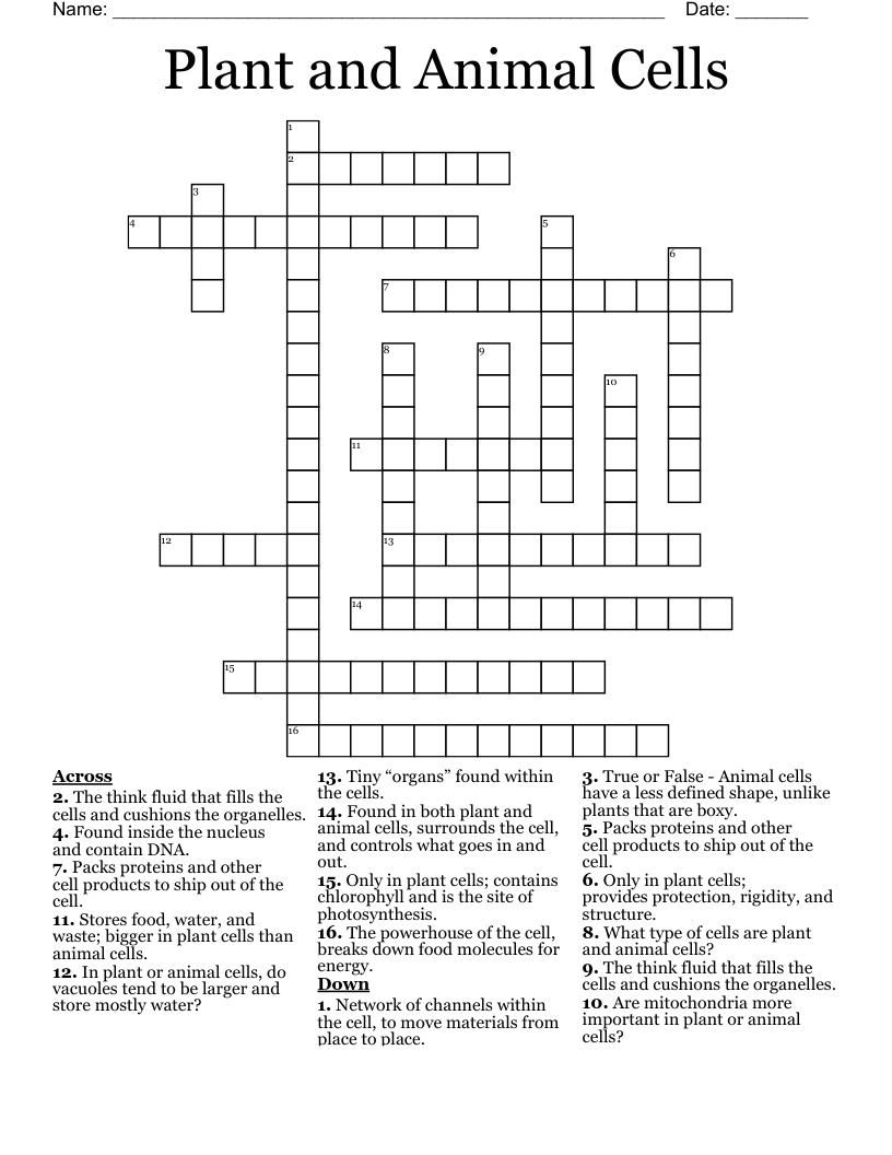 Plant and Animal Cells Crossword