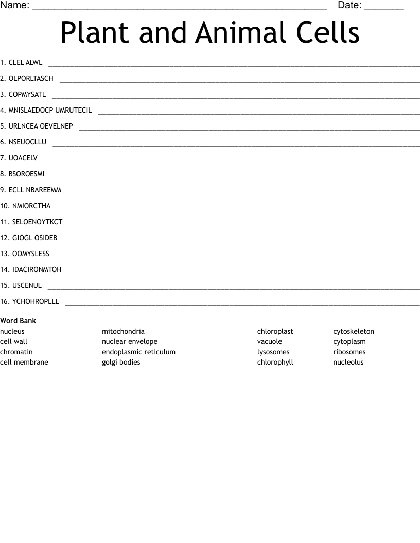 Plant and Animal Cells Word Scramble