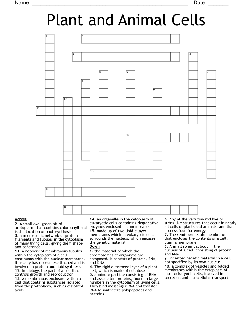 Plant and Animal Cells Crossword