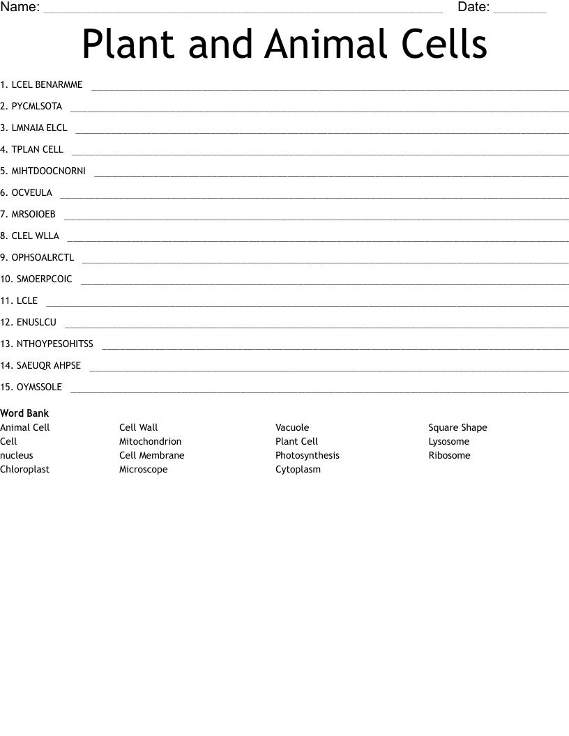 Plant and Animal Cells  Word Scramble