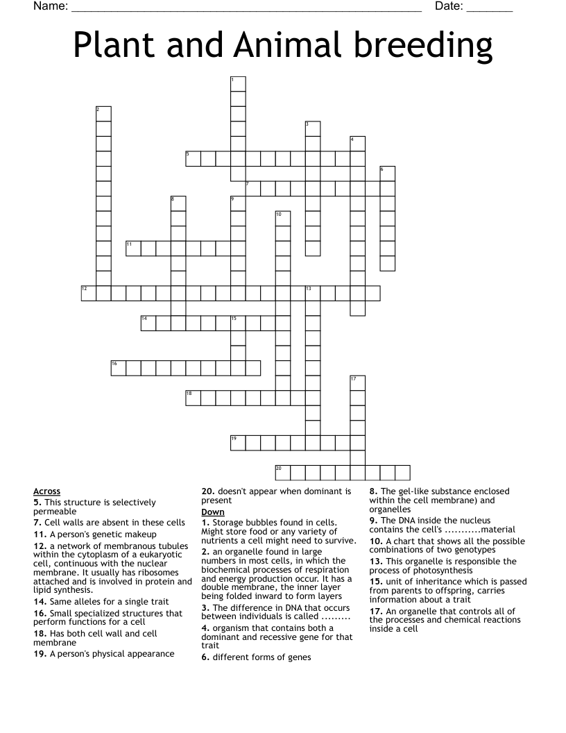 Plant and Animal breeding  Crossword