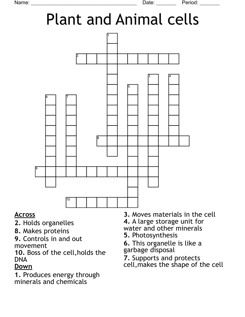 Plant and Animal cells Crossword