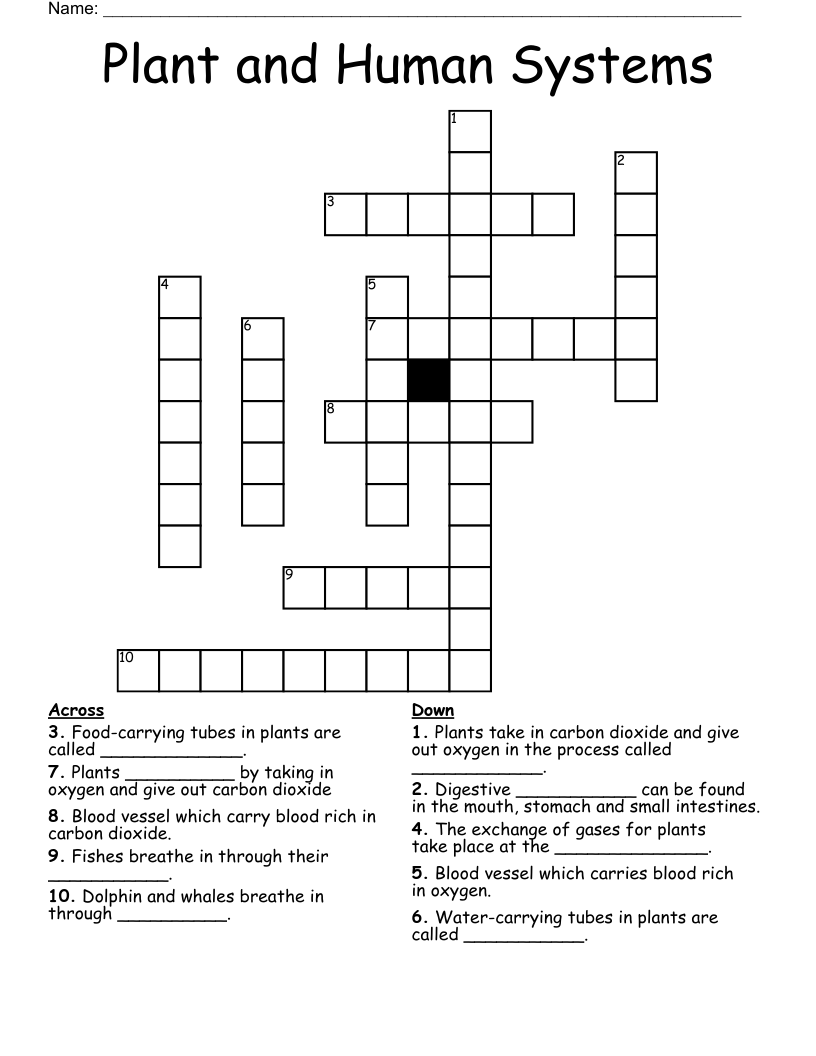 Plant and Human Systems Crossword