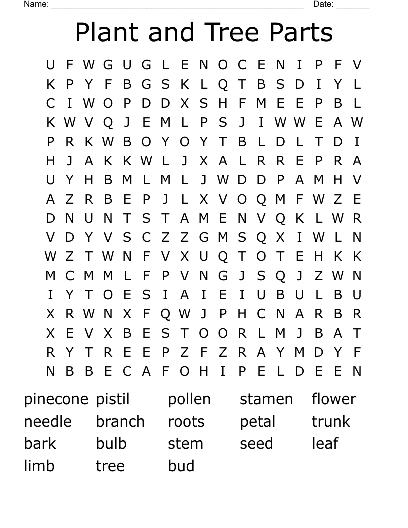 Plant and Tree Parts Word Search