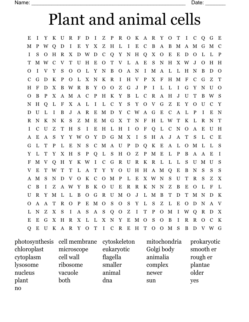Plant and animal cells Word Search