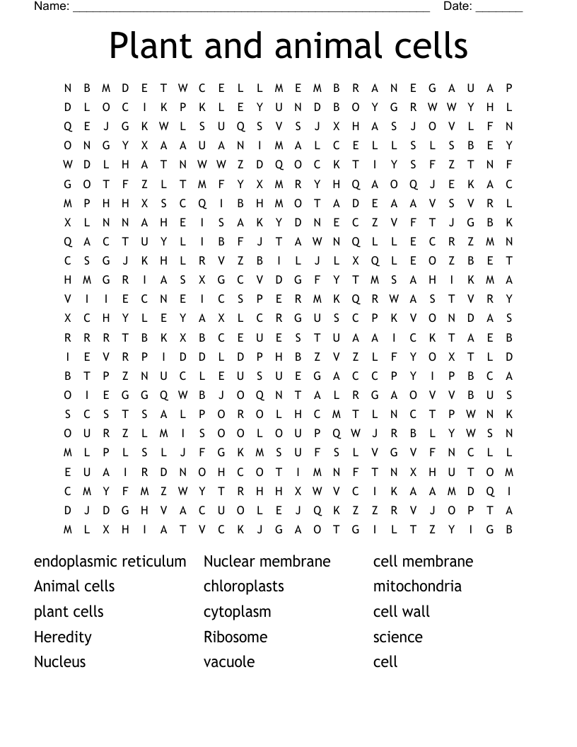 Plant and animal cells Word Search