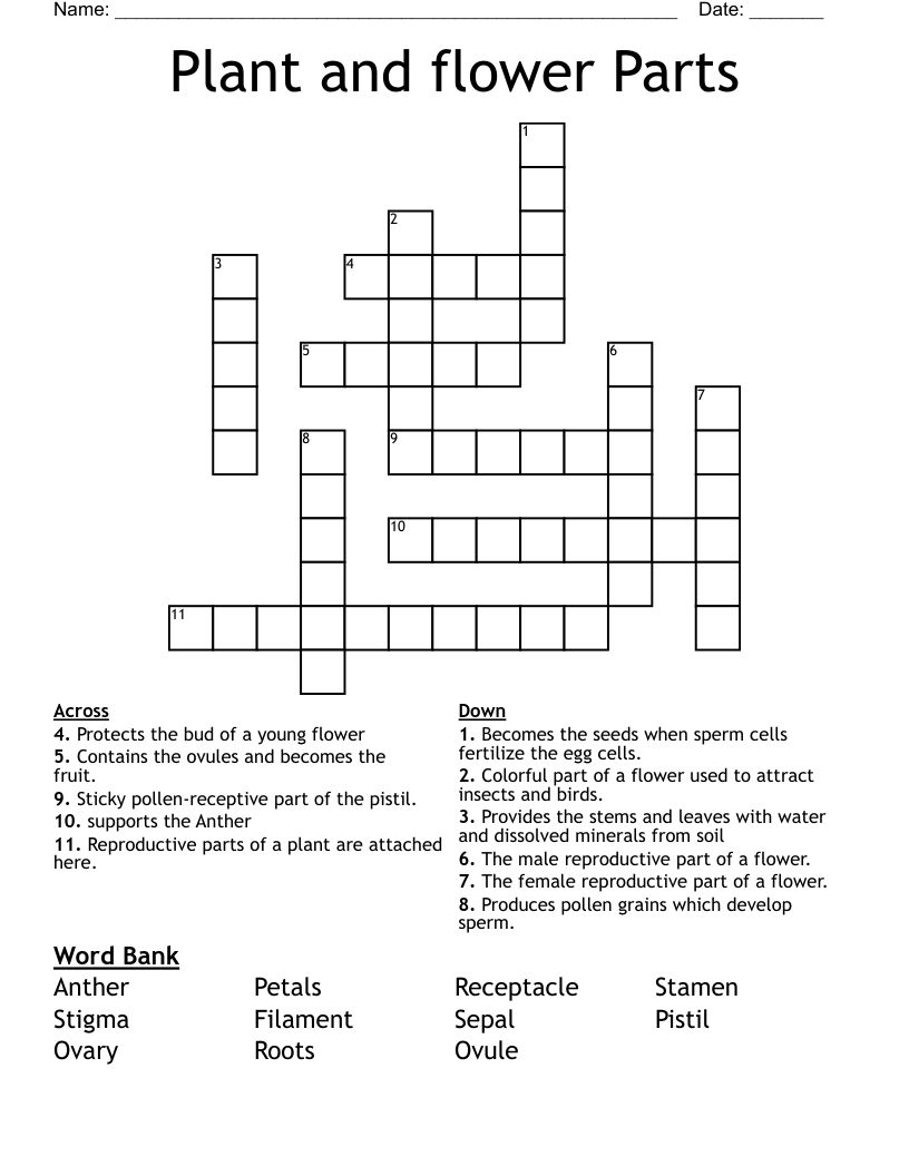 Plant and flower Parts  Crossword