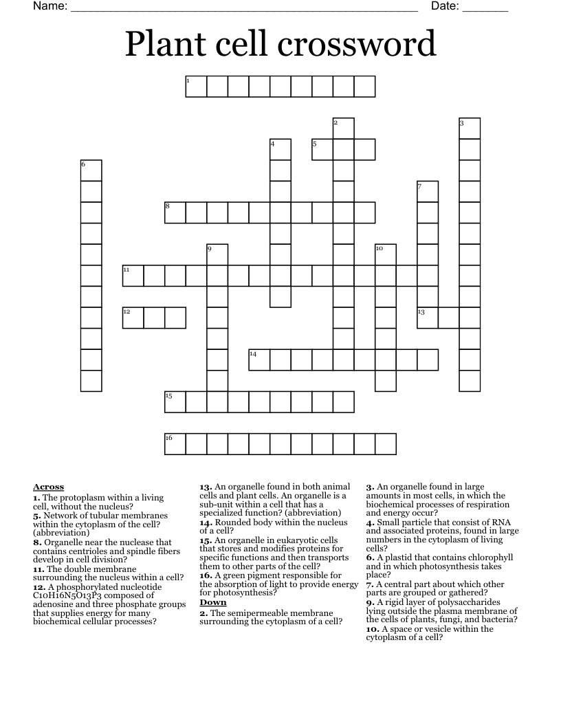 Plant cell crossword 