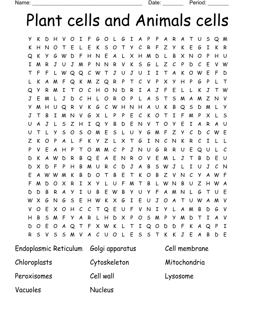 Plant cells and Animals cells Word Search