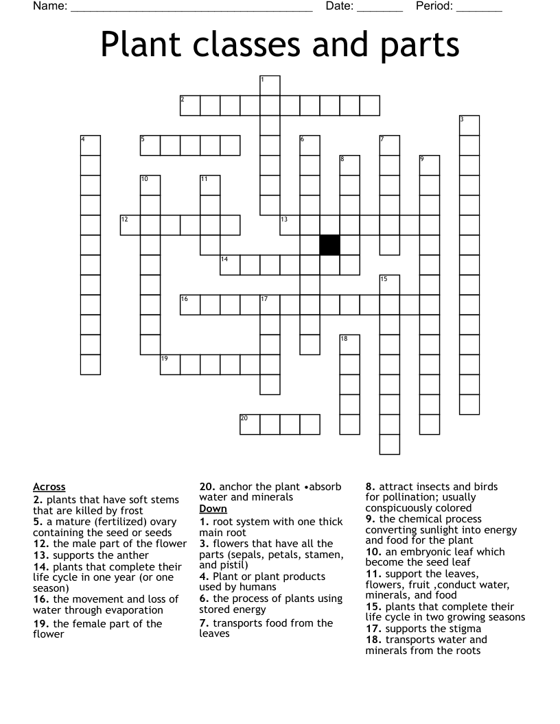 Plant classes and parts Crossword