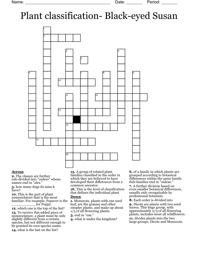 Plant classification- Black-eyed Susan Crossword