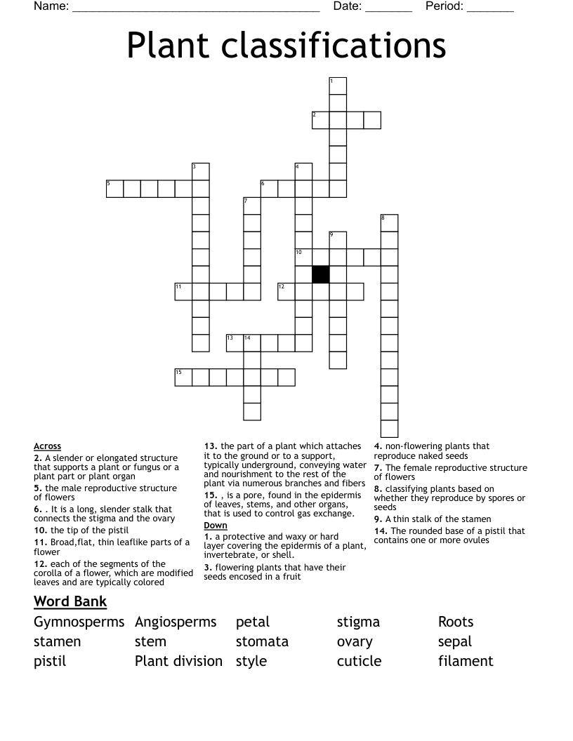 Plant classifications Crossword
