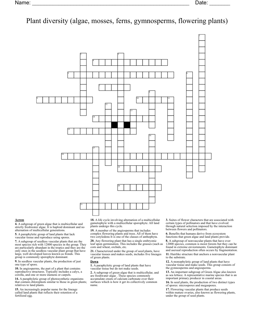 Plant diversity (algae, mosses, ferns, gymnosperms, flowering plants) Crossword