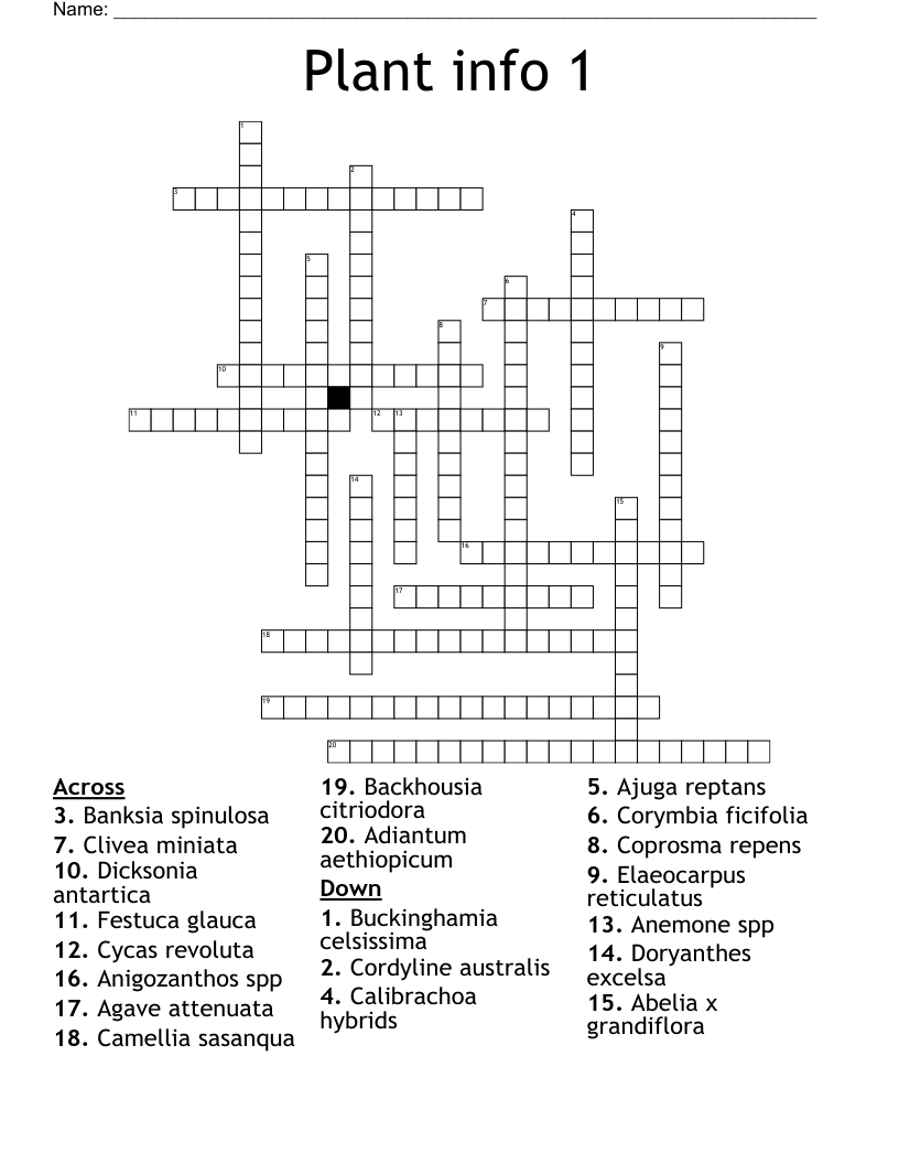 Plant info 1 Crossword