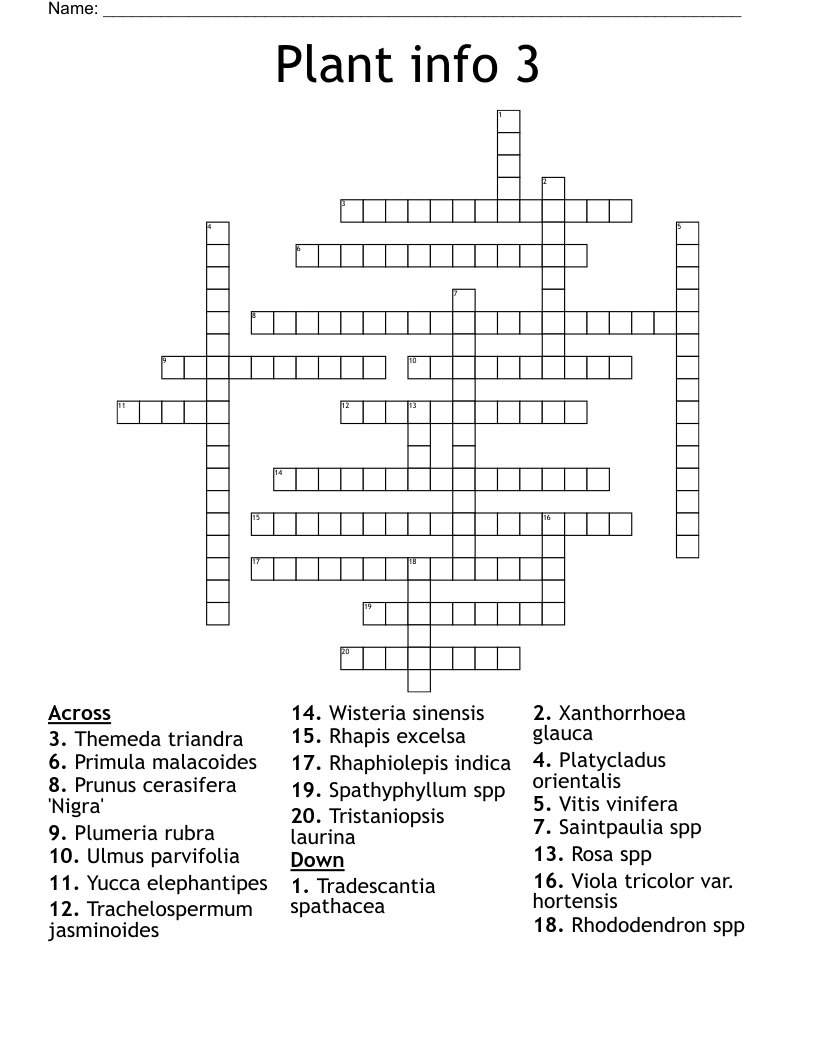 Plant info 3 Crossword