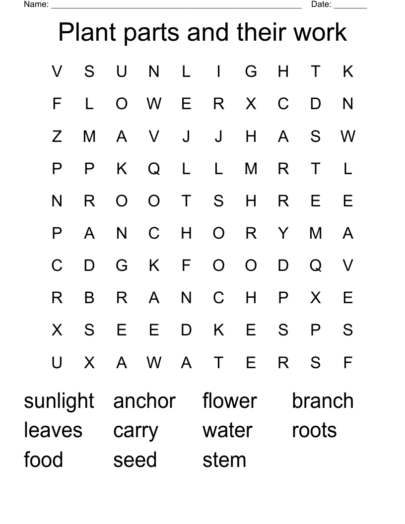 Plant parts and their work Word Search
