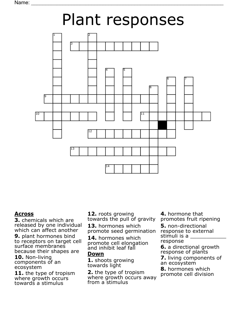 Plant responses Crossword