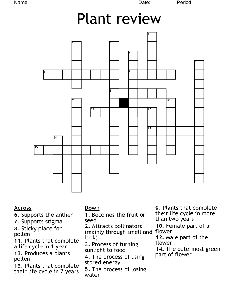 Plant review Crossword