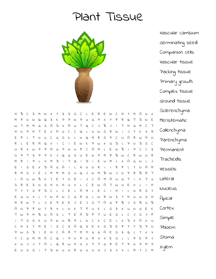 Plant Tissue Word Search