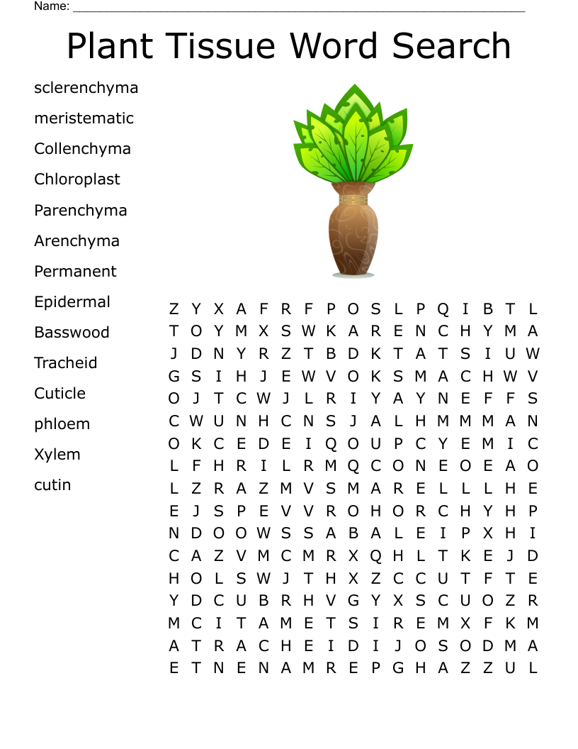 Plant Tissue Word Search 