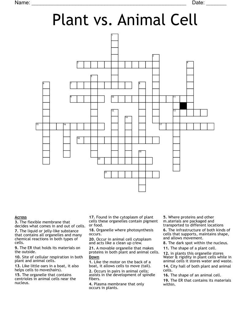 Plant vs. Animal Cell Crossword