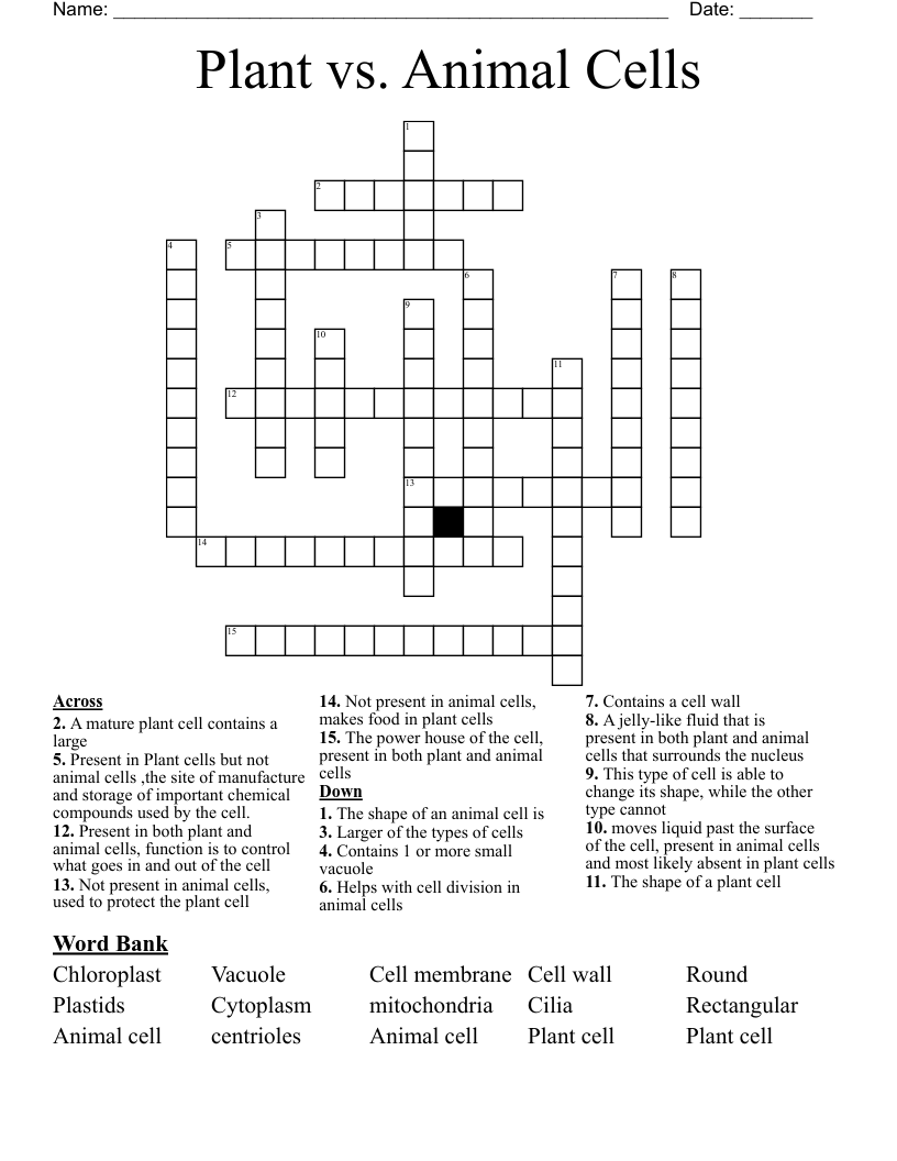 Plant vs. Animal Cells Crossword