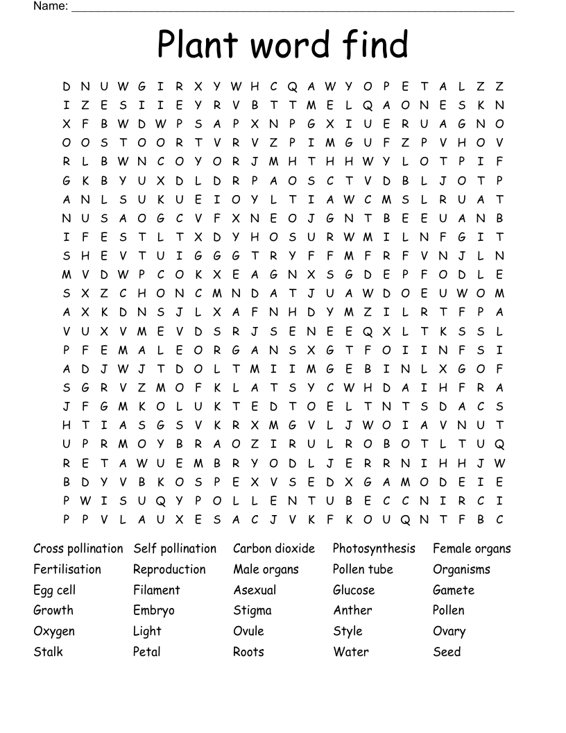 Plant word find Word Search