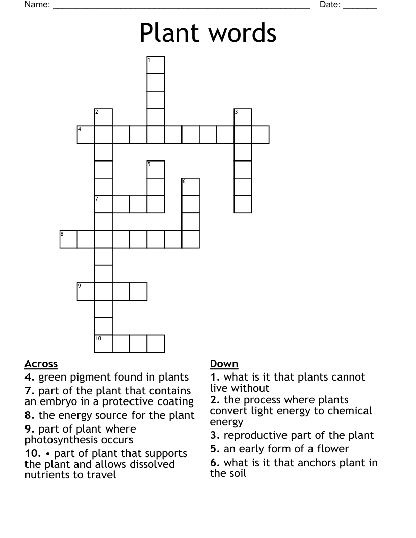 Plant words Crossword
