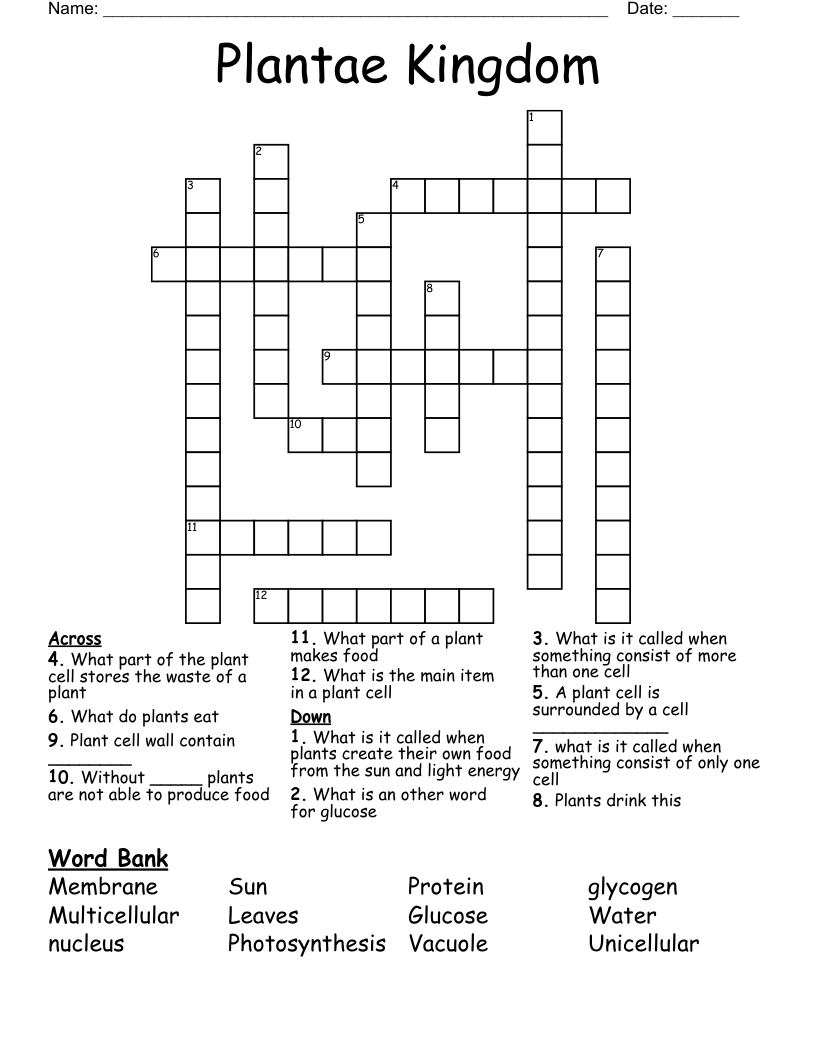 Plantae Kingdom Crossword