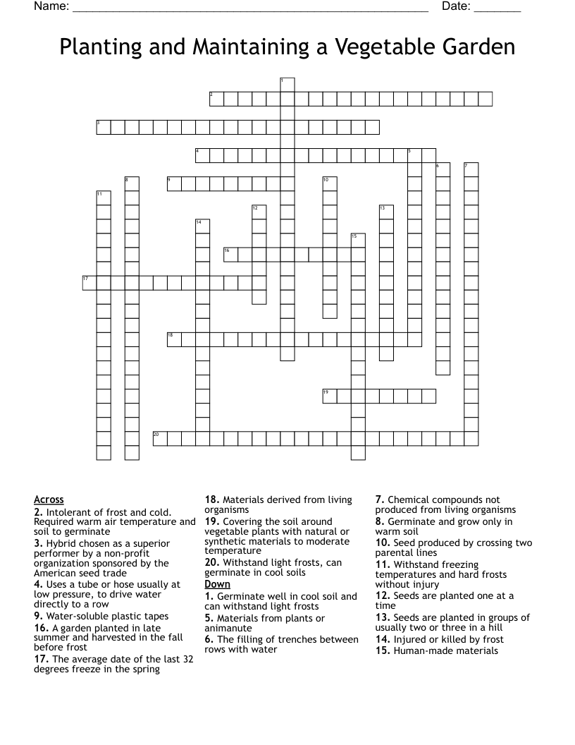 Planting and Maintaining a Vegetable Garden Crossword