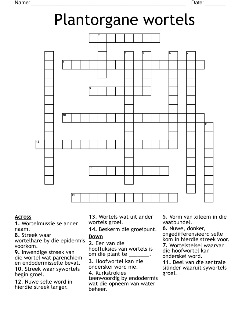 Plantorgane wortels Crossword