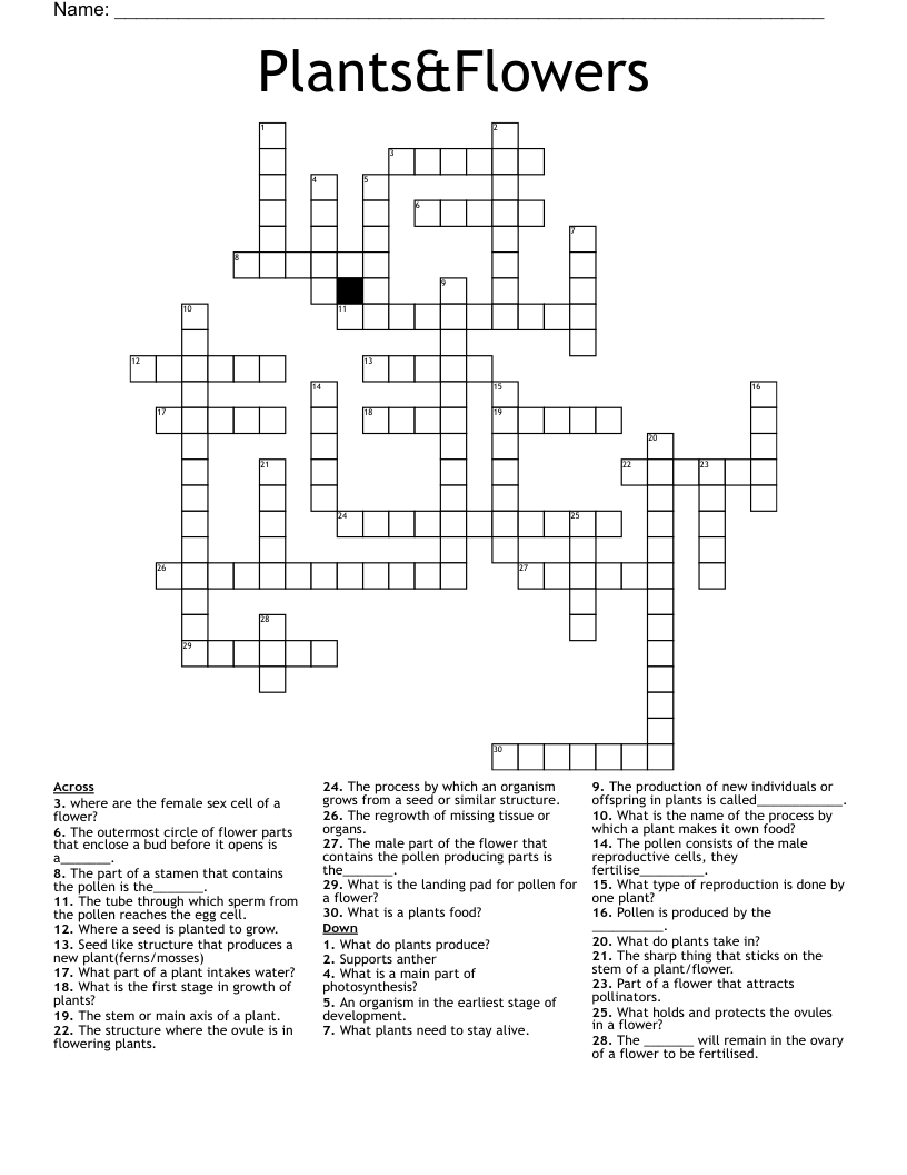 Plants&Flowers Crossword